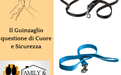 Il GUINZAGLIO: questione di cuore, responsabilità e libertà