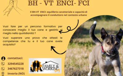 Il BH – VT ENCI – FCI : valutazione equilibrio caratteriale e capacità di gestire il cane nel contesto urbano