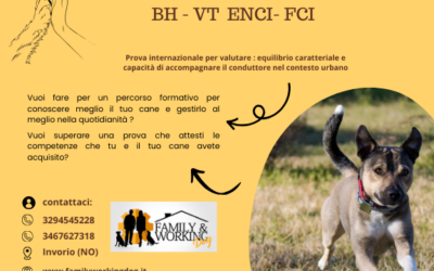 Il BH – VT ENCI – FCI : valutazione equilibrio caratteriale e capacità di gestire il cane nel contesto urbano