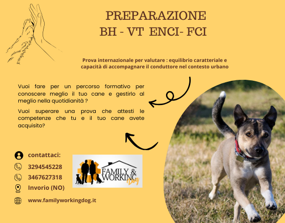 Il BH – VT ENCI – FCI : valutazione equilibrio caratteriale e capacità di gestire il cane nel contesto urbano