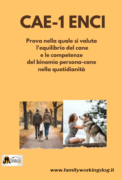 CAE 1 ENCI: prova di equilibrio caratteriale. perché sostenerla?