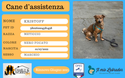 KRISTOFF: Cane d’Assistenza