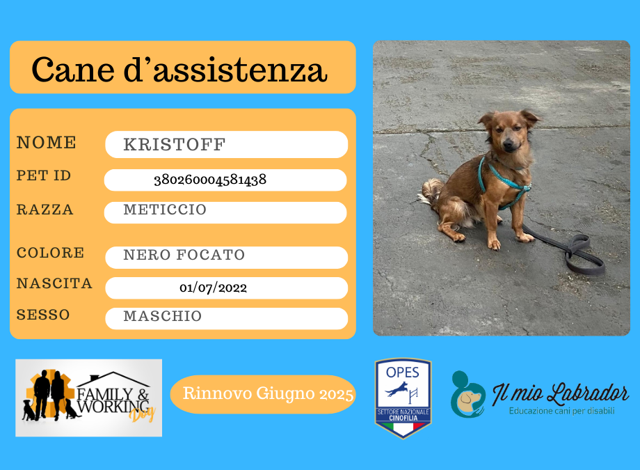 KRISTOFF: Cane d’Assistenza