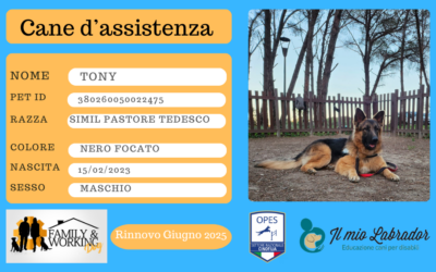 TONY: Cane d’assistenza