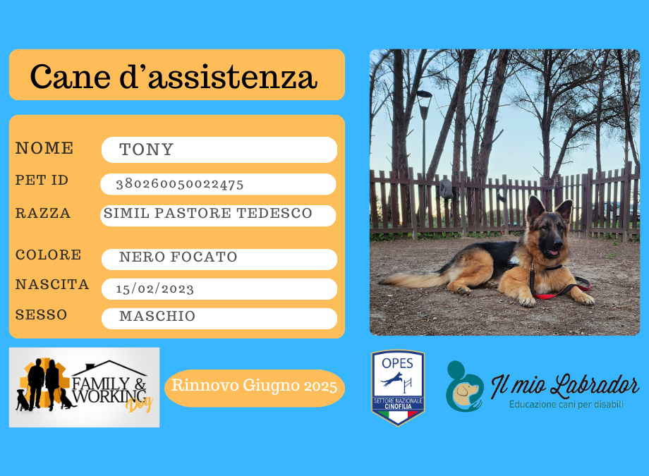 TONY: Cane d’assistenza