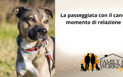 La passeggiata con il cane: momento di relazione